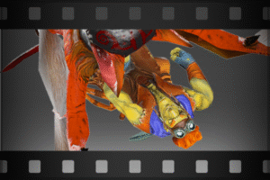 Taunt: Hang Loose!